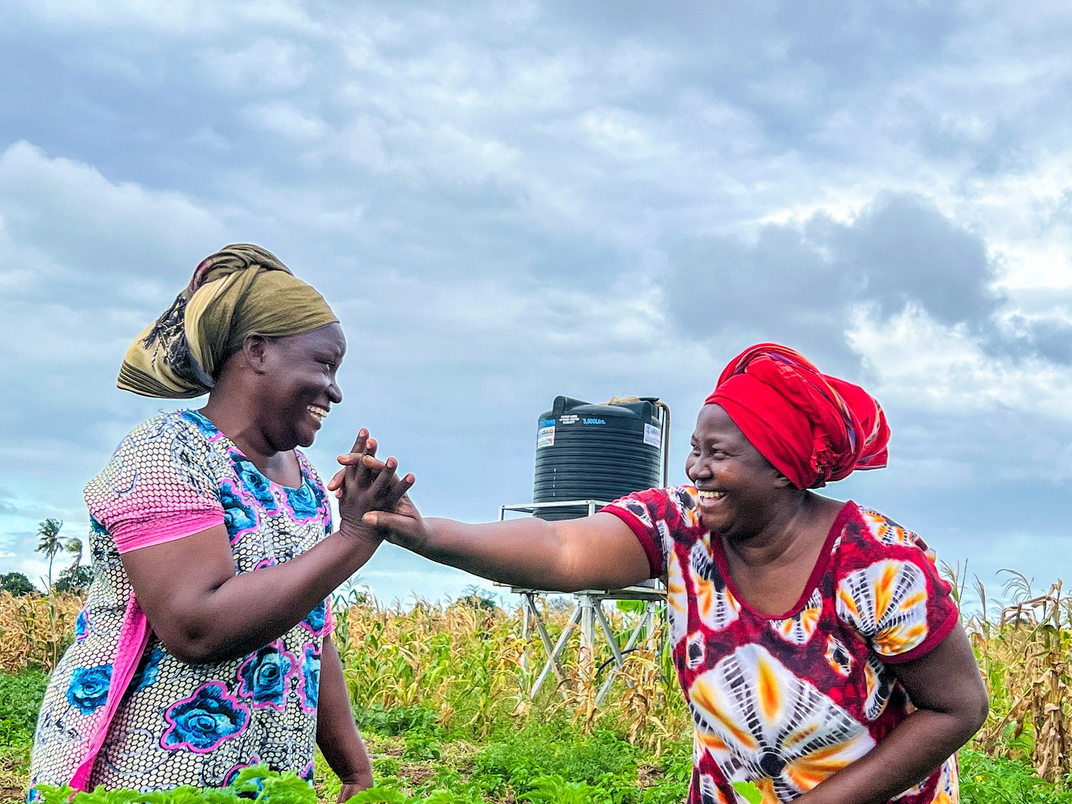 women high fiving with a water tank behind them